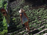 Vietnam_079