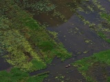 Vietnam_085
