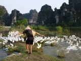 Vietnam_140