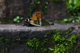 Vietnam_018