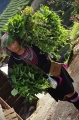 Vietnam_026
