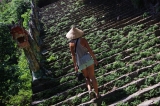 Vietnam_079
