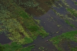 Vietnam_085