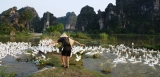 Vietnam_140