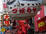 Japonsko_728
