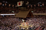 Japonsko_493