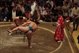 Japonsko_500