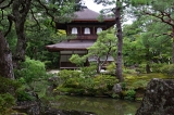 Japonsko_633