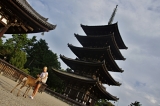 Japonsko_684
