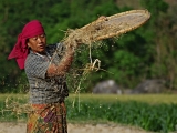 Nepal_119