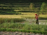 Nepal_135