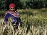Nepal_145