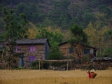 Nepal_515