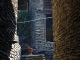 Nepal_548