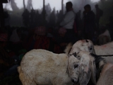 Nepal_569