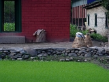Nepal_587