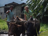 Nepal_799