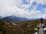New Zealand 2017