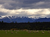 New Zealand 2017