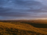 New Zealand 2017
