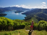New Zealand 2017