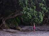 New Zealand 2017