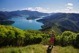 New Zealand 2017