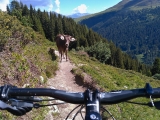 Biketrik Alpy 2018