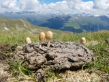 Biketrik Alpy 2018