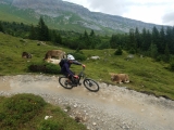 Biketrik Alpy 2018