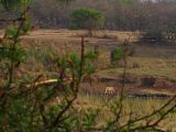 JAR Kruger 2019