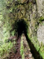 Madeira 2021