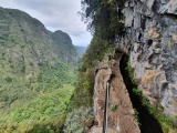Madeira 2021