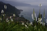 Madeira 2021