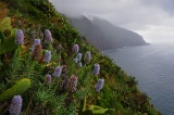 Madeira 2021