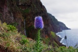 Madeira 2021