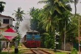 Sri Lanka 2022