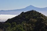 Canary Islands 2023