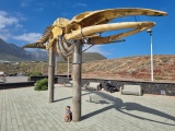 Canary Islands 2023