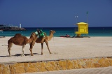 Canary Islands 2023
