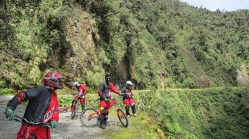 Yungas