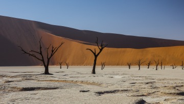 Deadvlei