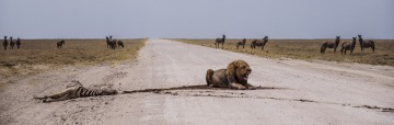 Namibia 2015